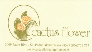 Cactus Flower Interiors